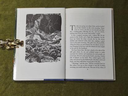 THE SEA EGG - L. M. Boston - Hardcover Book 1967 1st Edition6