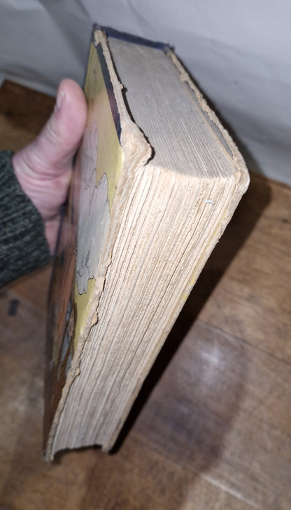 SUCKER'S PROGRESS by Herbert Asbury - 1938 Hardcover First Edition Illustrated 5