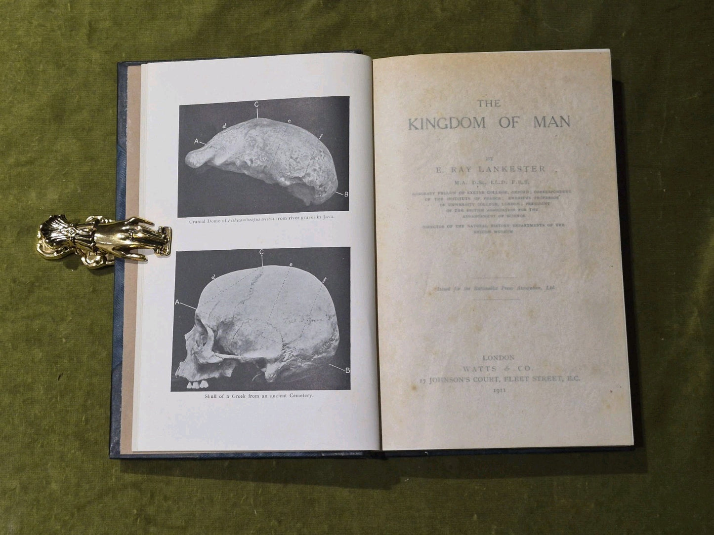 The Kingdom of Man - Edwin Ray Lankester - Watts & Co 1911 HB6