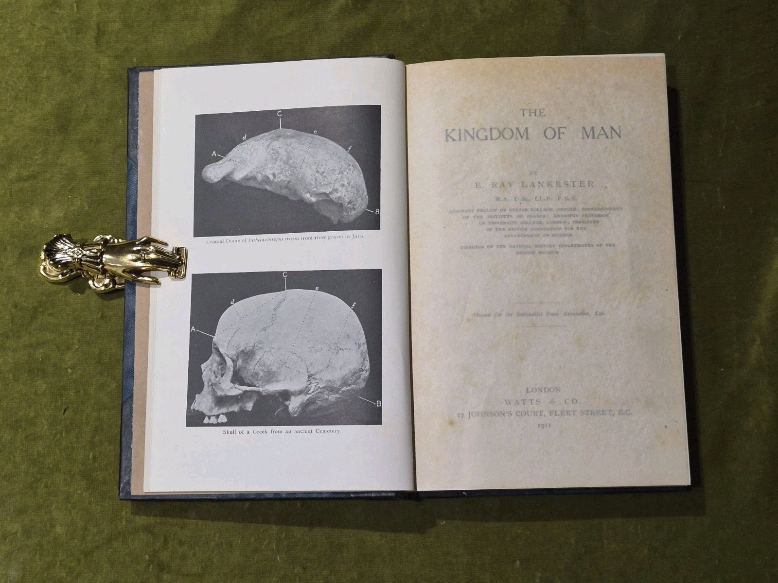 The Kingdom of Man - Edwin Ray Lankester - Watts & Co 1911 HB6