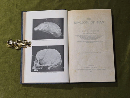 The Kingdom of Man - Edwin Ray Lankester - Watts & Co 1911 HB6