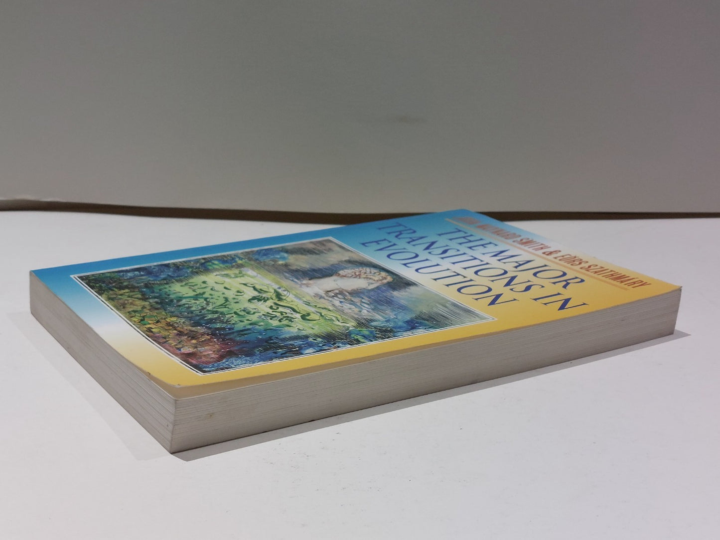 The Major Transitions in Evolution  Eors Szathmary & John Maynard Smith 1997 Pb6