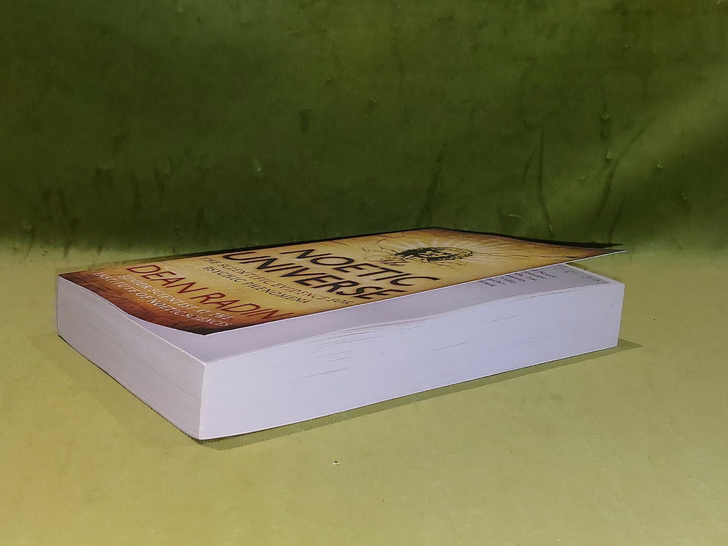 The Noetic Universe Paperback Book by Dean Radin5