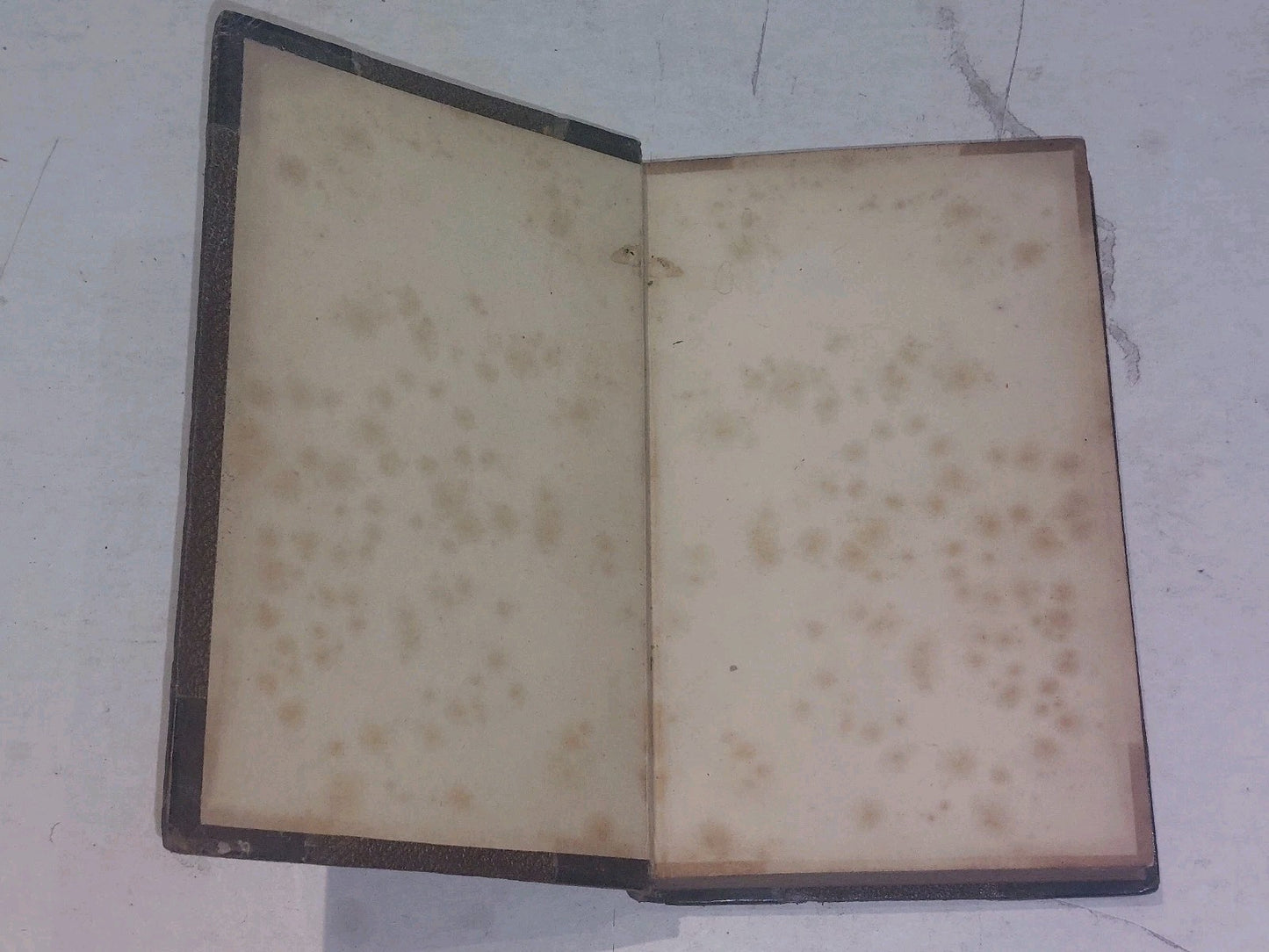 The Life Of Mansie Wauch Tailor Of Dalkeith (1828) 1st Ed Hb Book2