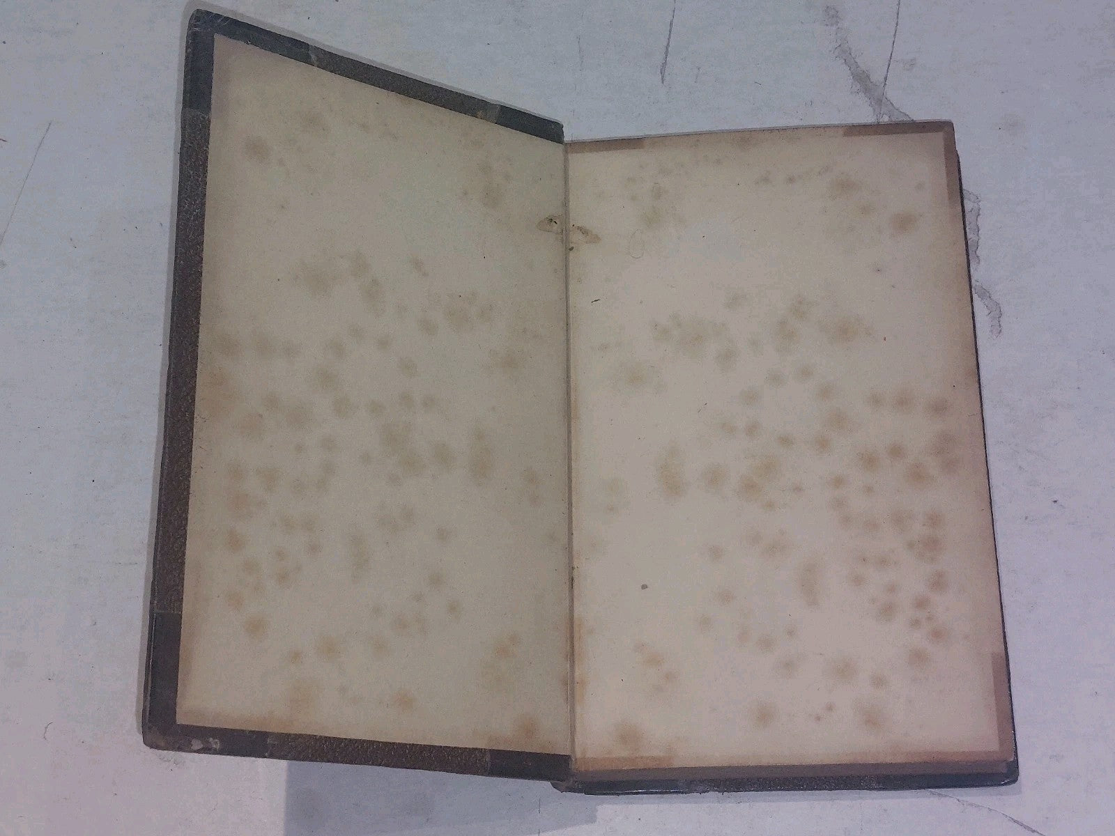 The Life Of Mansie Wauch Tailor Of Dalkeith (1828) 1st Ed Hb Book2