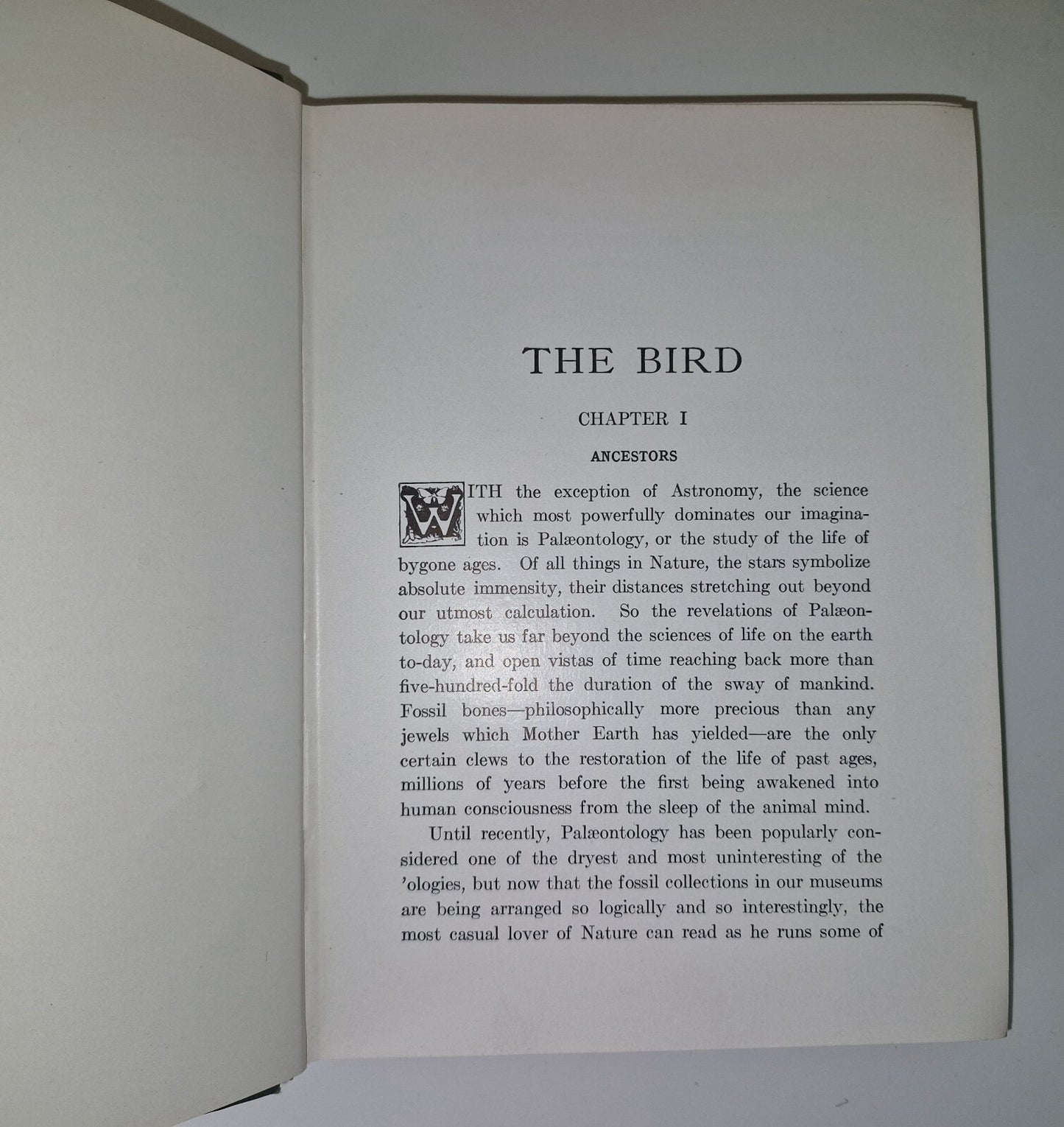 The Bird Its Form And Function By C. William Beebe 190711