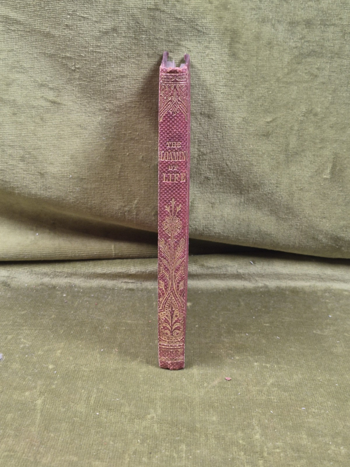 The Gloaming of Life A Memoir of James Stirling - Alexander Wallace , Temperance2