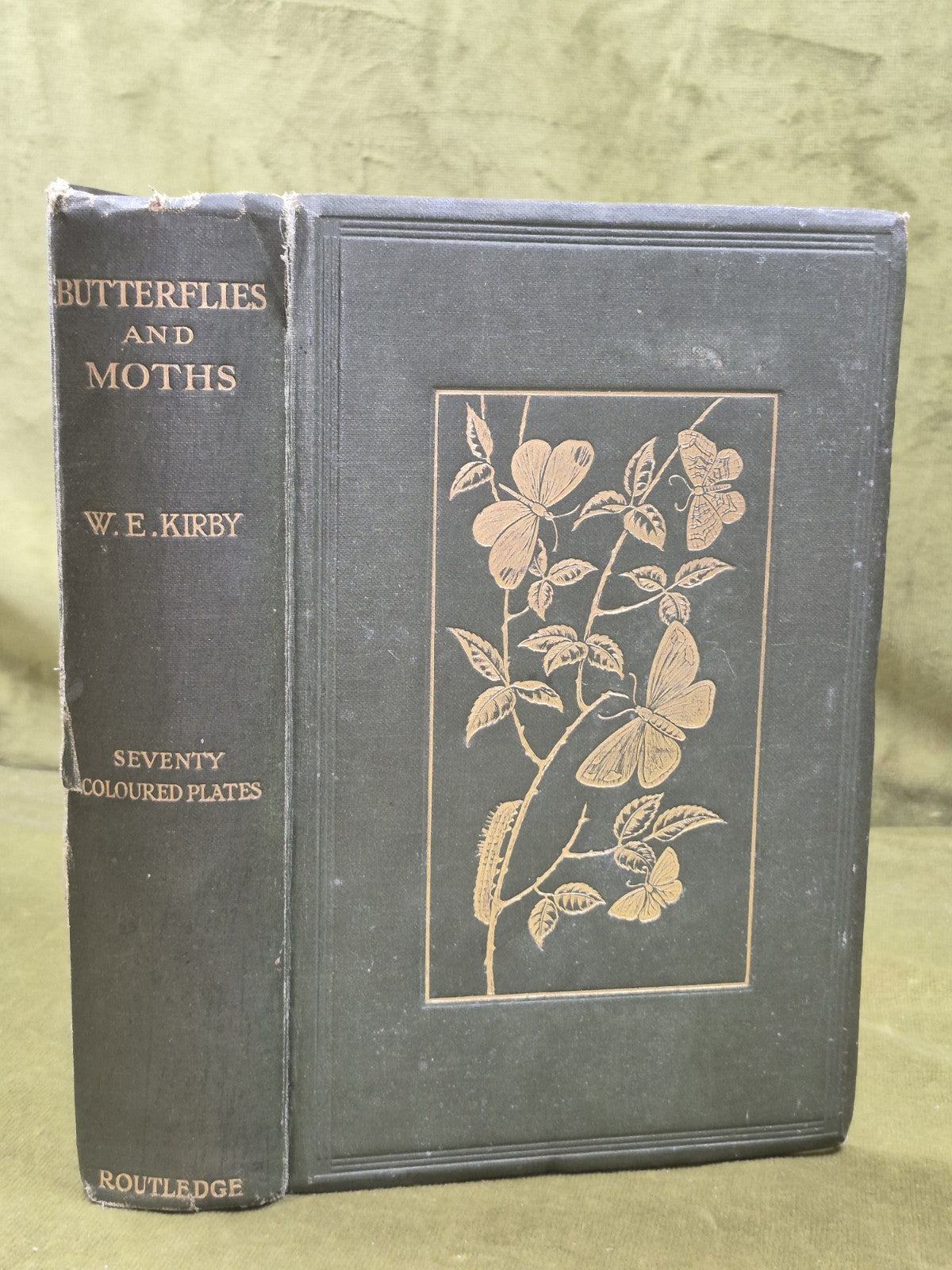 Butterflies & Moths of the United Kingdom Egmont Kirby First Edition Routledge 0