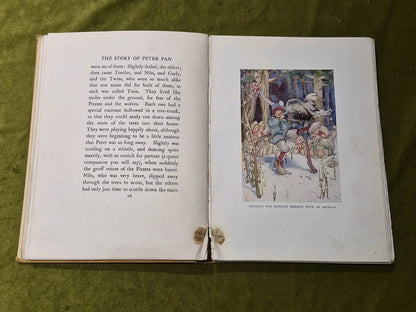 The Peter Pan Picture Book -1925 Vintage HC- Alice B Woodward & Daniel O'Connor12