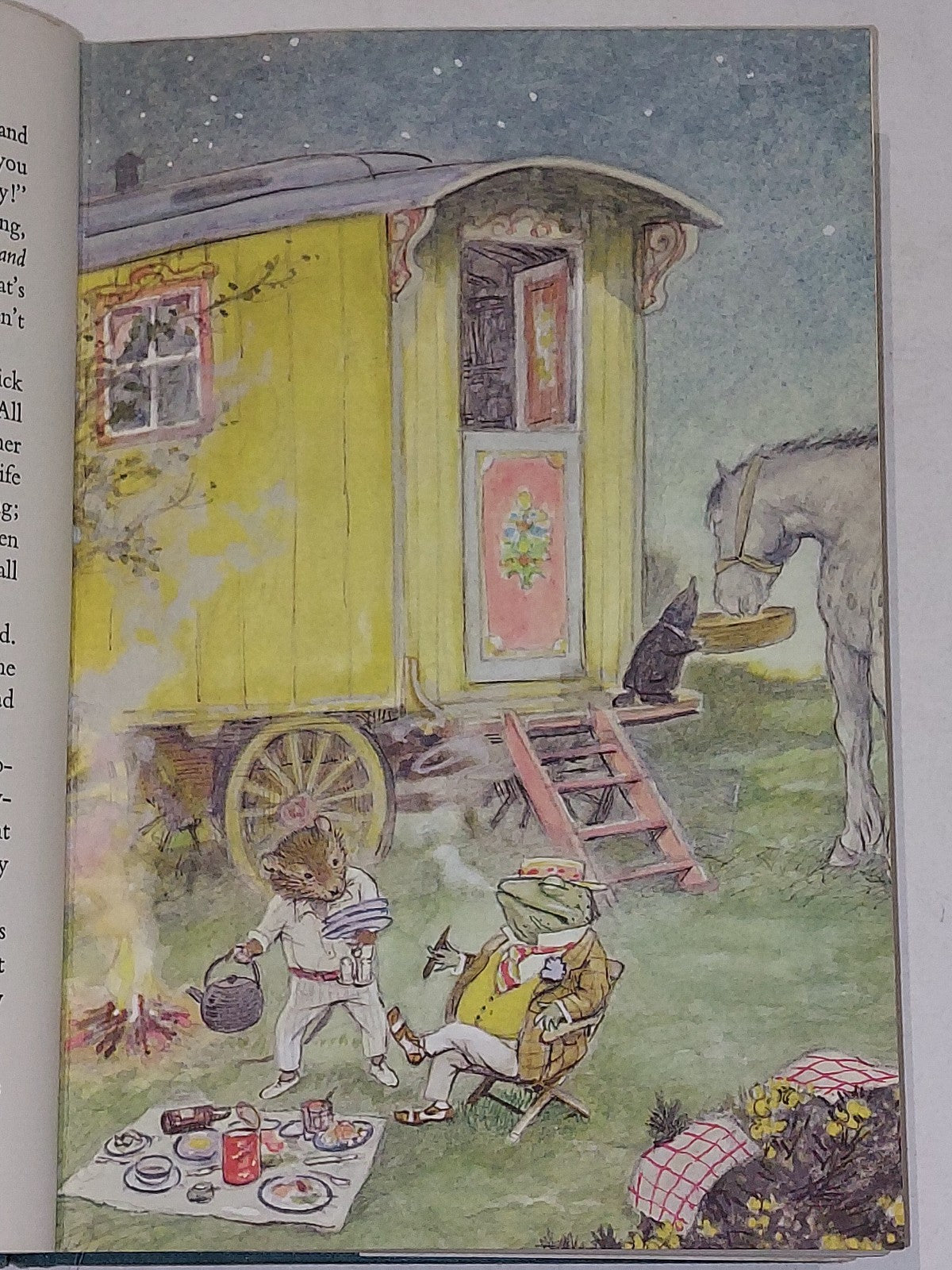 The Wind In The Willows Kenneth Grahame 1st Colour Edition Ernest H Shepard 19597