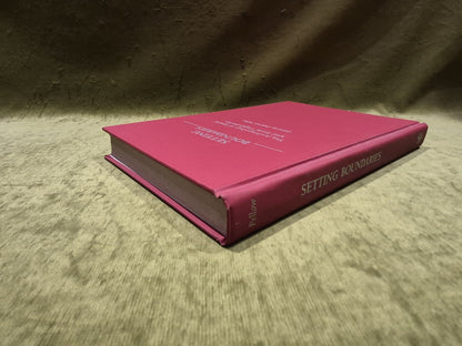 Setting Boundaries : The Anthropology of Spatial & Social - D. Pellow (1996) Hb3