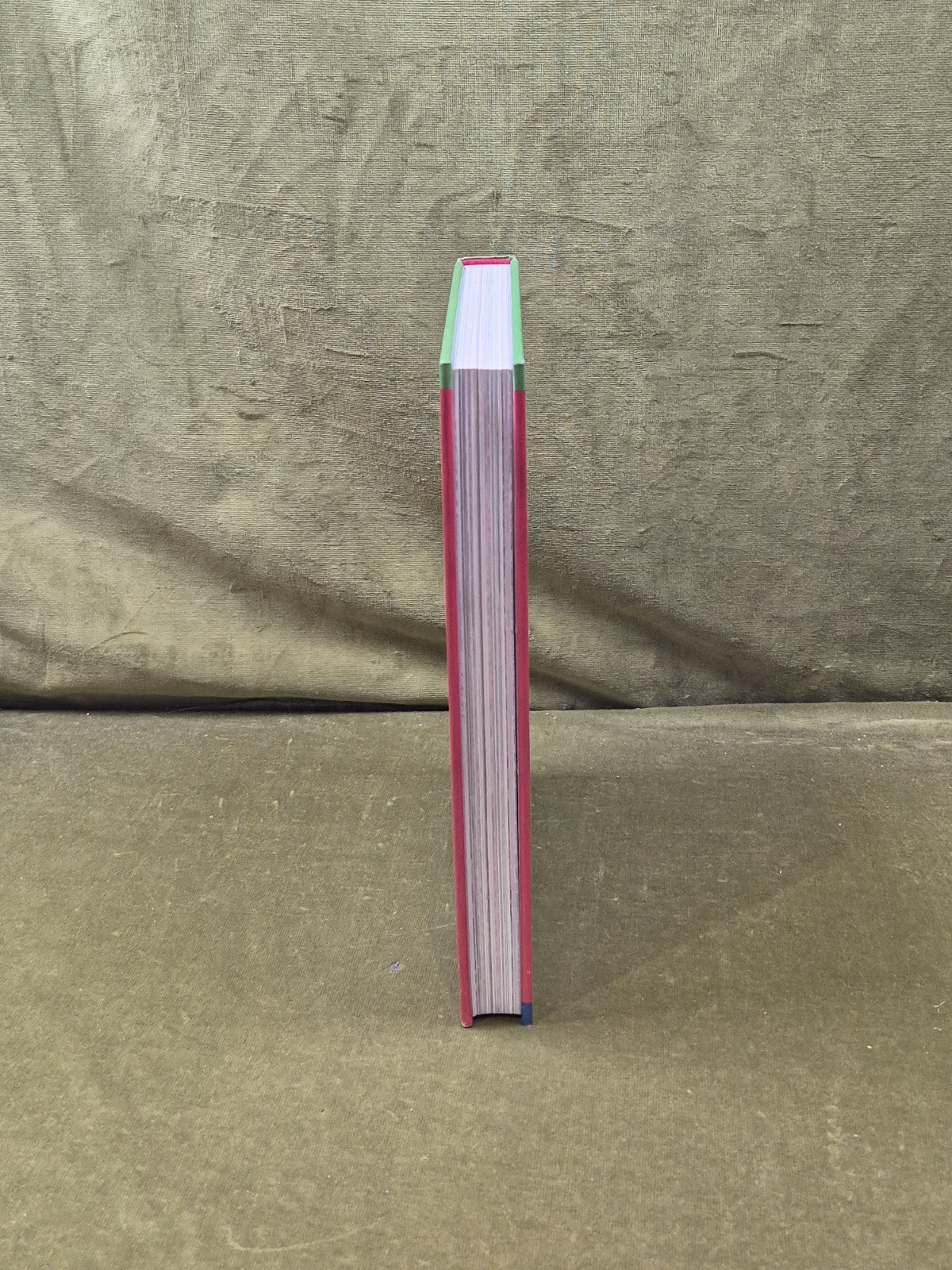 CELIA BIRTWELL - St Martin's Press , Dominic Lutyens 1st 2011 illustrated HC6