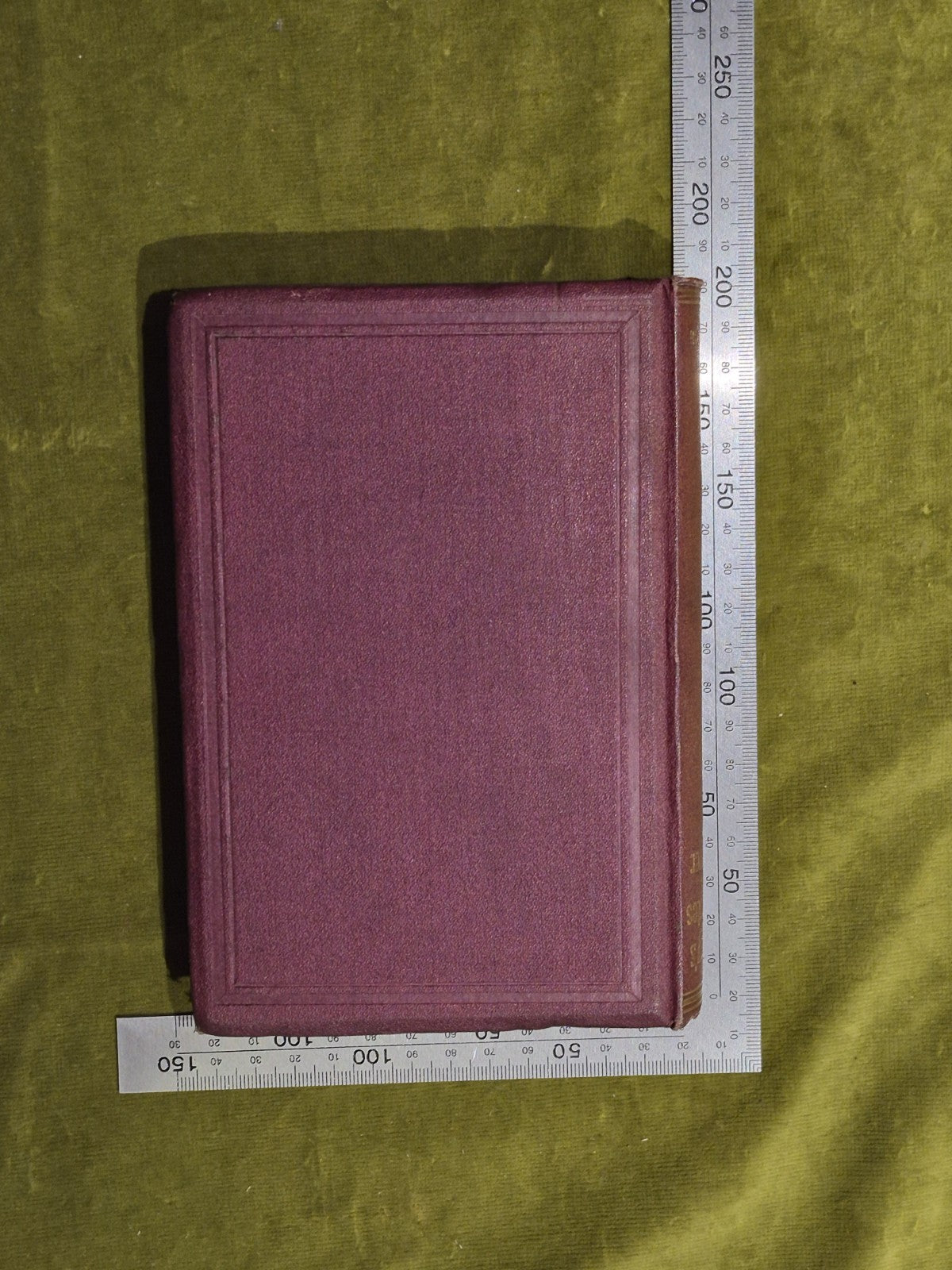Woodnotes of a Wanderer - John Ramsay - 1865 1st Edition6