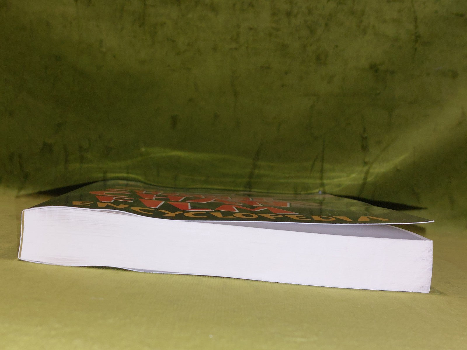 The Charlie Chan Film Encyclopedia - Howard M Berlin Pb Book2