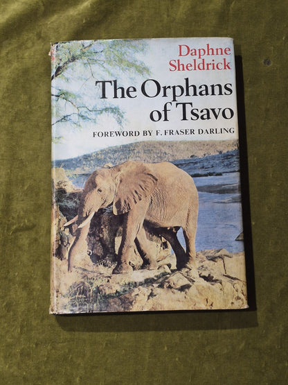 Daphne Sheldrick - The Orphans of Tsavo - 1966 Collins 1st Ed HB DJ0
