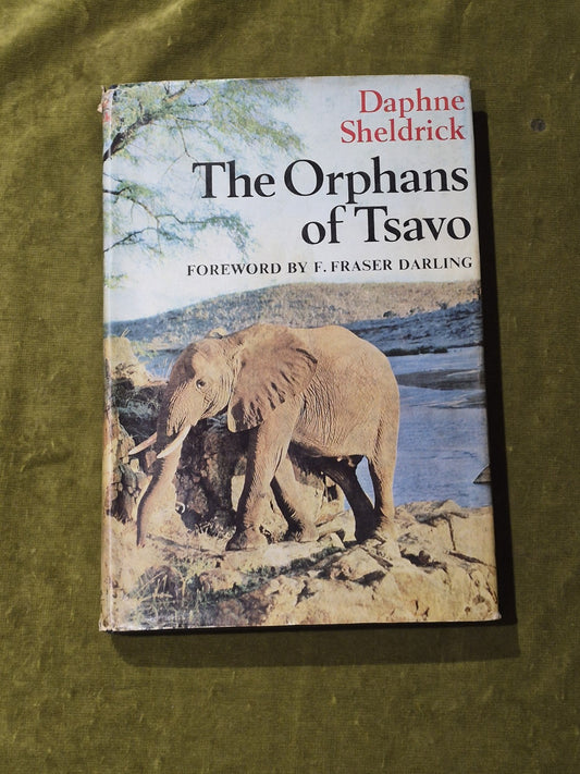 Daphne Sheldrick - The Orphans of Tsavo - 1966 Collins 1st Ed HB DJ0