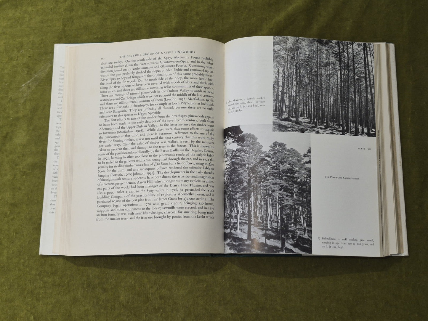 The Native Pinewoods of Scotland - H. M Steven & A. Carlisle, 1st HB DJ 19597