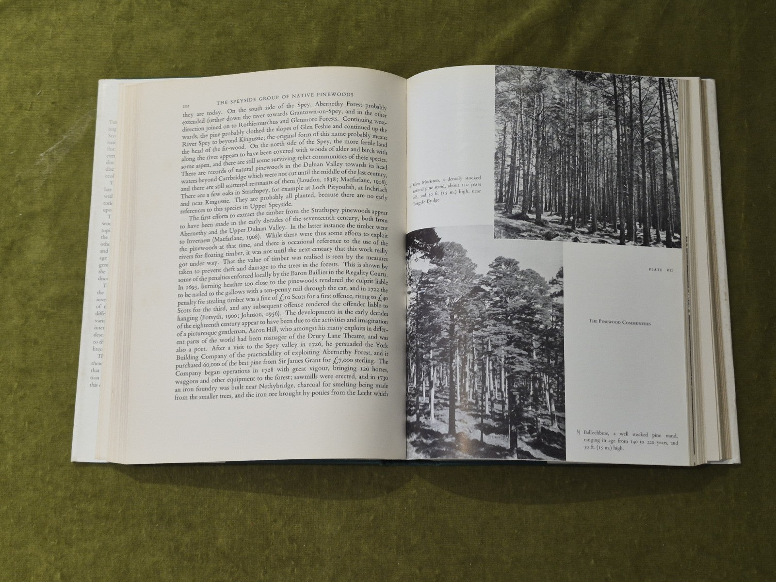 The Native Pinewoods of Scotland - H. M Steven & A. Carlisle, 1st HB DJ 19597