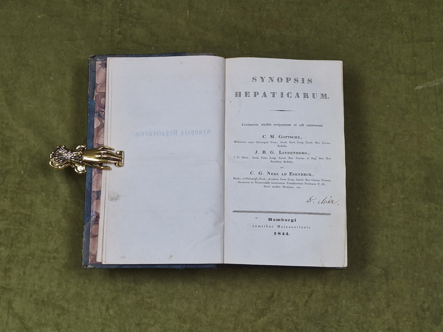 Synopsis hepaticarum: Coniunctis studiis scripserunt et edi curaverunt - 18445