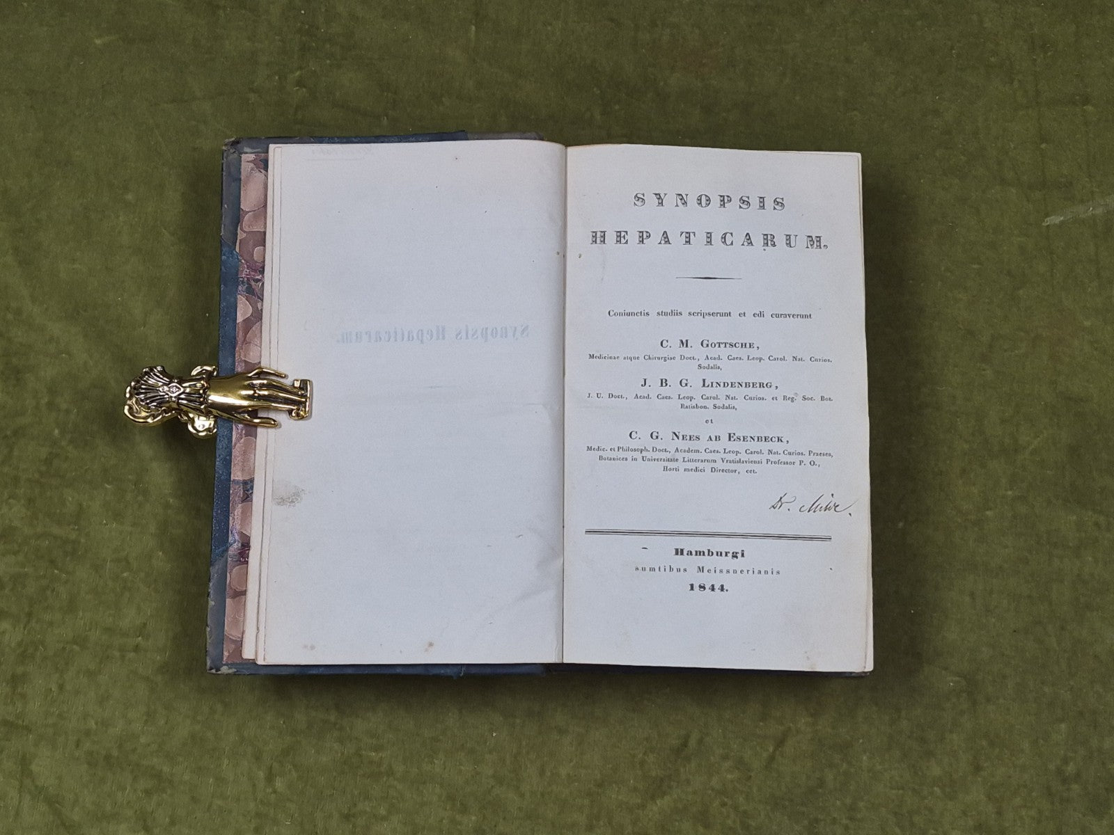 Synopsis hepaticarum: Coniunctis studiis scripserunt et edi curaverunt - 18445