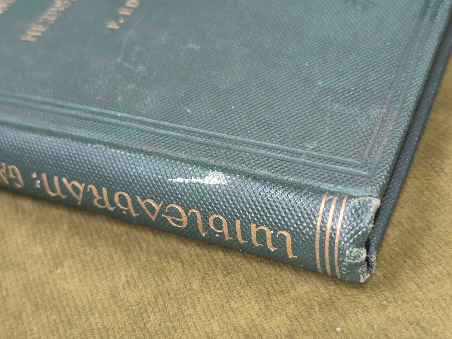 Luibleabran Irish and Scottish Gaelic Names Herbs Plants Trees Edmund Hogan 19002