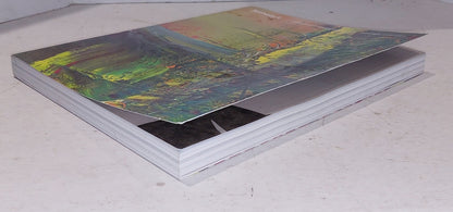 Sotheby’s Contemporary Art Auction Catalog New York 2012 Pb Book7