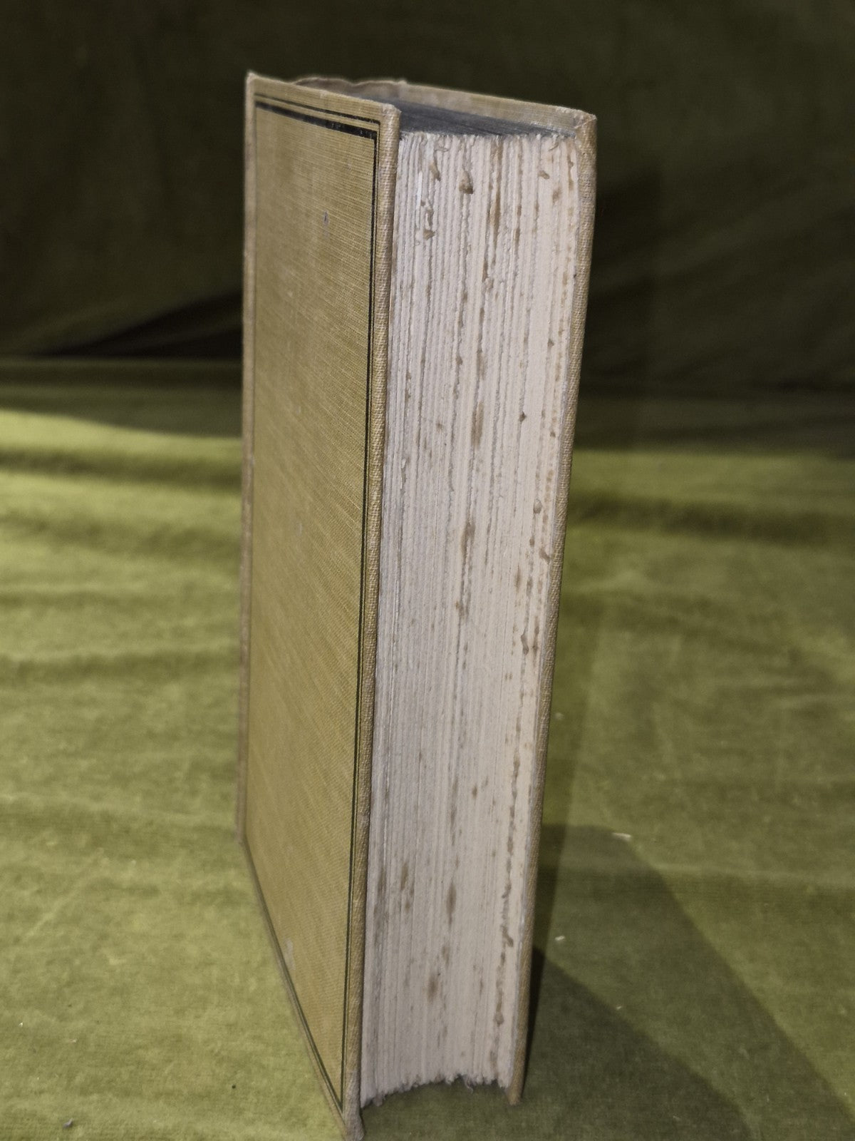 The Boy in the Bush First Edition D H Lawrence & Skinner7