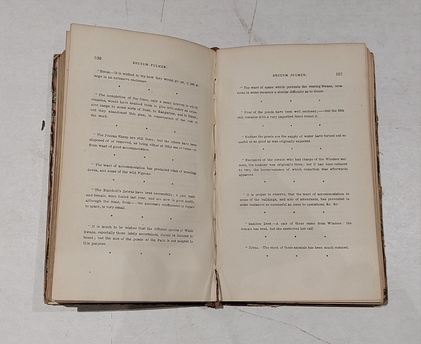 The Comic Annual By Thomas Hood, Charles Tilt (1833) Hb Book3