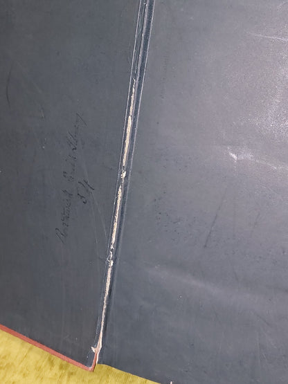 Glimpses of Life in Victoria by a Resident (1872) 1st Edition 4