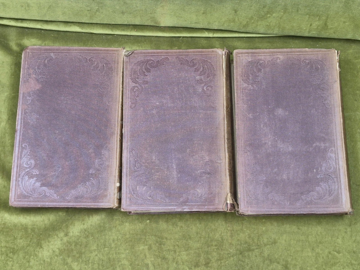 The English Universities Huber 3 Vols 1843 Francis Newman Complete Set4