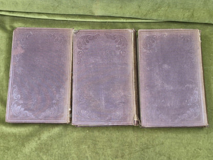 The English Universities Huber 3 Vols 1843 Francis Newman Complete Set4