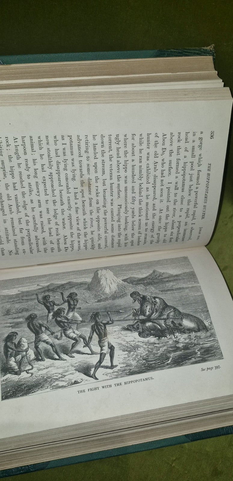 1867 THE NILE TRIBUTARIES OF ABYSSINIA BY BAKER 2 MAPS 24 PLATES & HAMRAN ARABS4