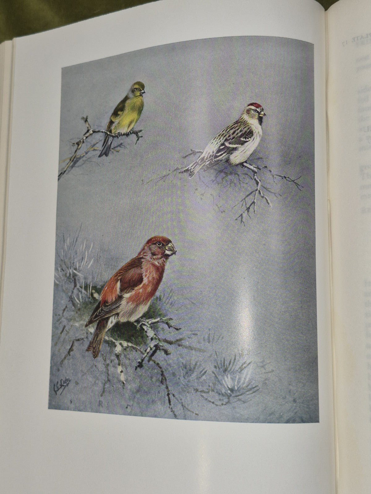 Bannerman The Birds of the British Isles Ornithology  12 Vols 1st Editions DJ7