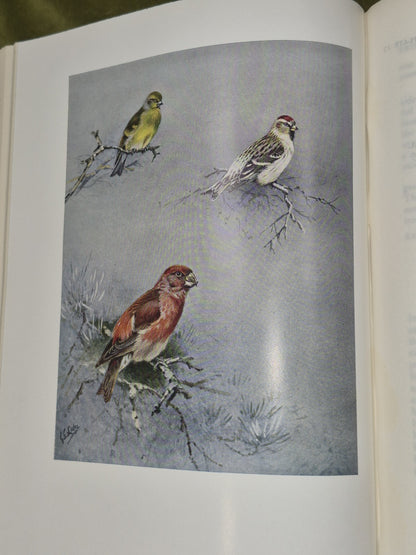 Bannerman The Birds of the British Isles Ornithology  12 Vols 1st Editions DJ7