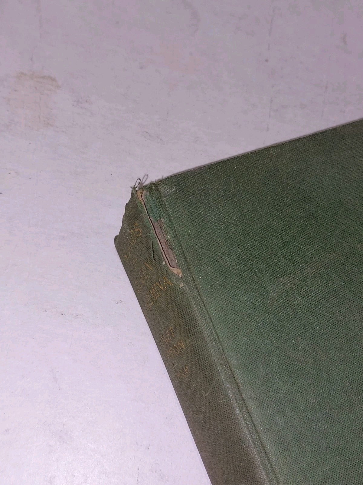 Islands Of Queen Wilhelmina (1927) By Violet Clifton, 1st Ed Hb Book3