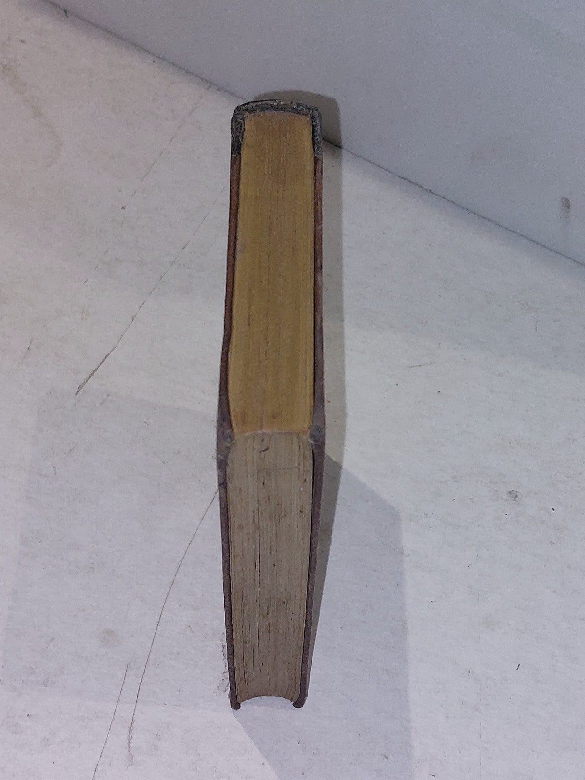 G. Woodrow  Biographical Portrait Gallery 1837 Three Hundred Portraits1