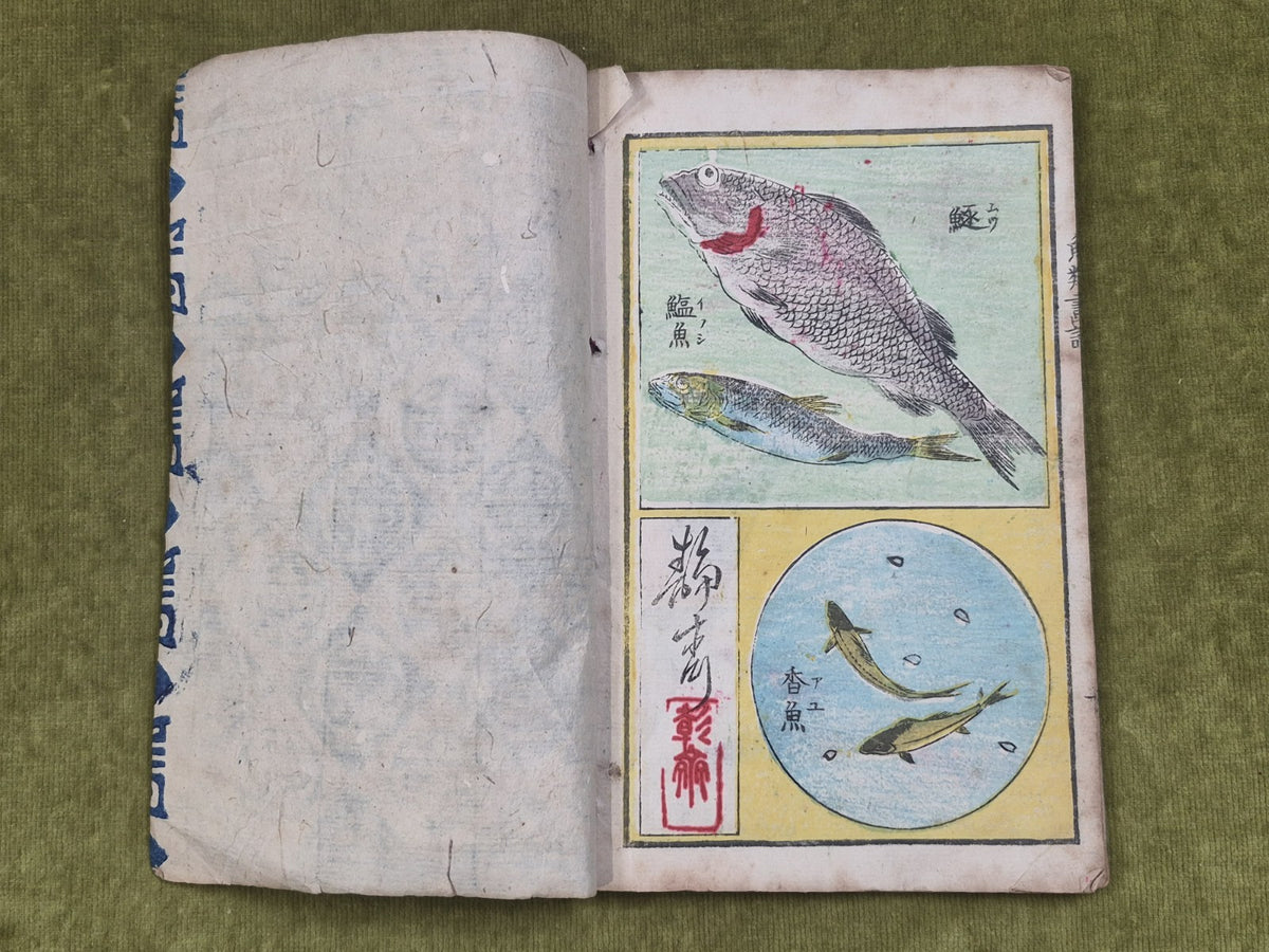 Seisai Yoshimura Utagawa 歌川芳邨 Ohashido Fish Book gyorui syo 魚類書譜大橋堂板 Woodblock12