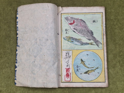 Seisai Yoshimura Utagawa 歌川芳邨 Ohashido Fish Book gyorui syo 魚類書譜大橋堂板 Woodblock12