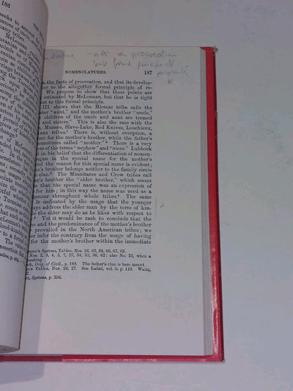 Primitive Family In Its Origin And Development (1976) By Carl Starcke Hb Book5