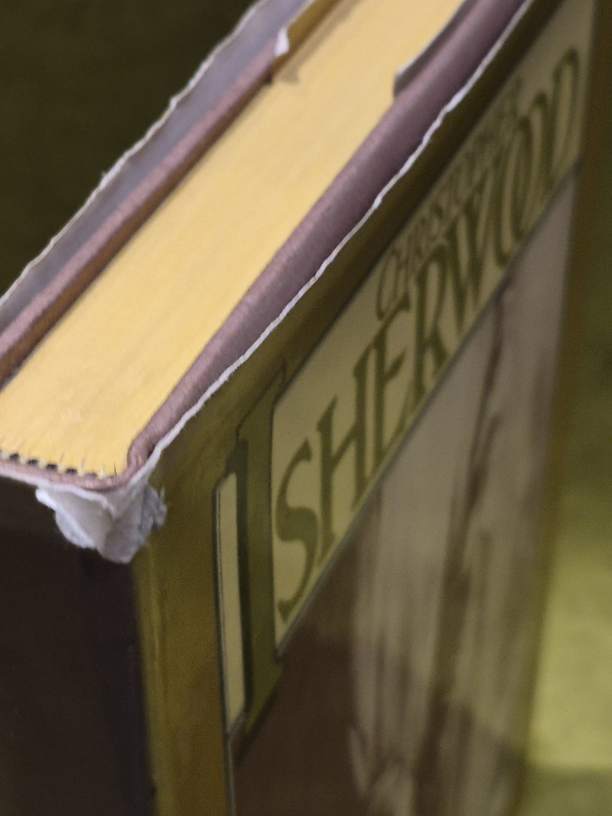 Christopher Isherwood- Christopher and His Kind 1929 - 1939 1st HB DJ UK 19773