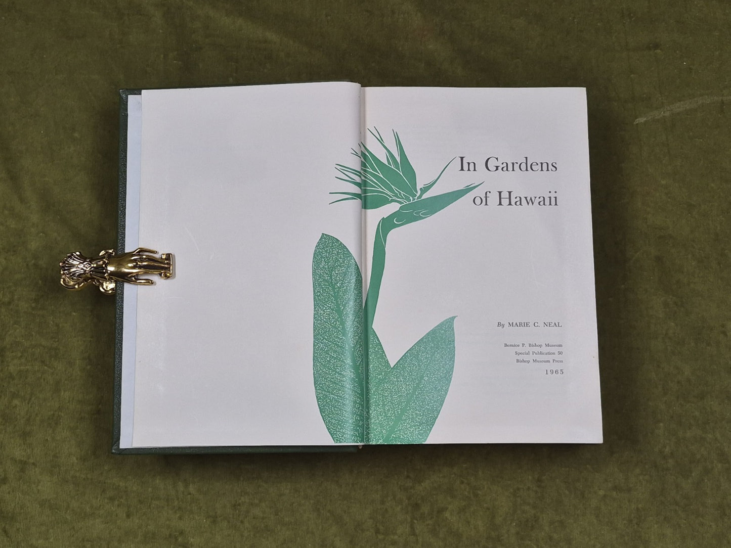 IN GARDENS OF HAWAII By Marie C. Neal , Bishop Museum 1965 Leather3