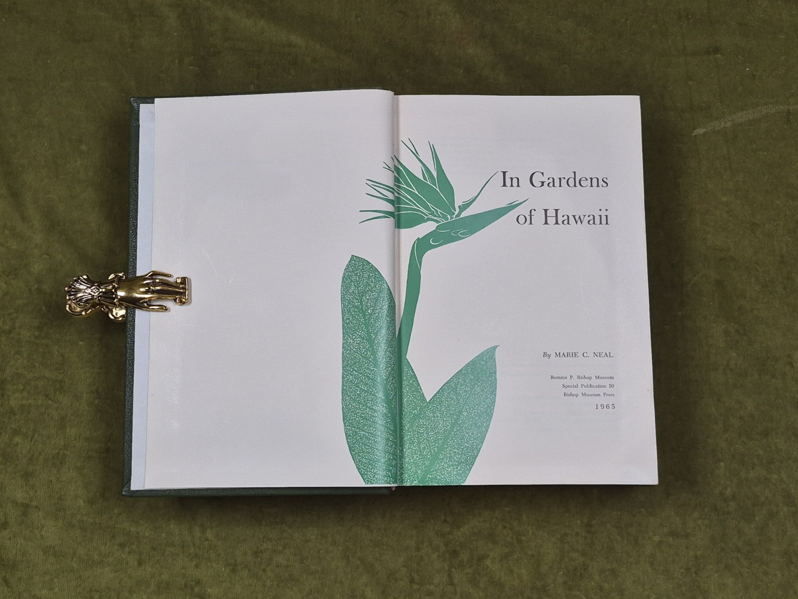 IN GARDENS OF HAWAII By Marie C. Neal , Bishop Museum 1965 Leather3