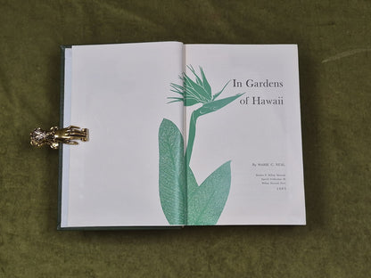 IN GARDENS OF HAWAII By Marie C. Neal , Bishop Museum 1965 Leather3
