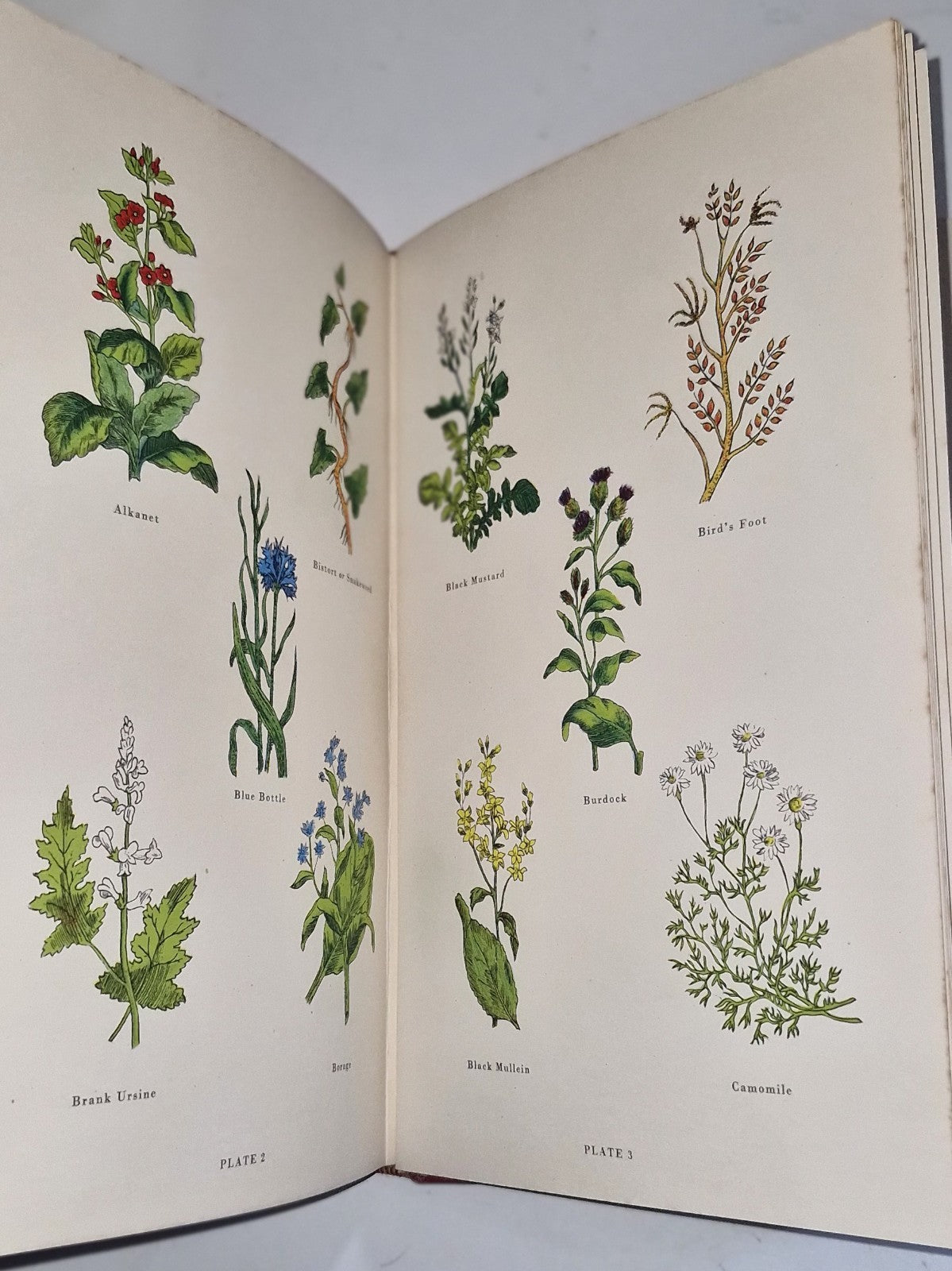 The Complete Herbal By Nicholas Culpeper 1953 Facsimile Edition ICI10