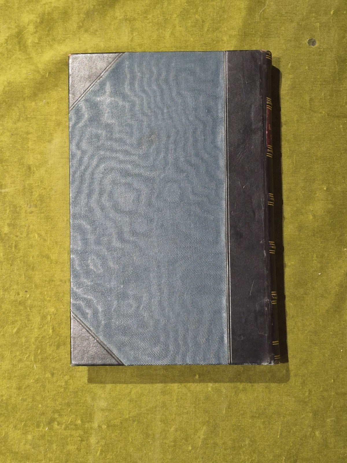 The Kingdom of Man - Edwin Ray Lankester - Watts & Co 1911 HB2