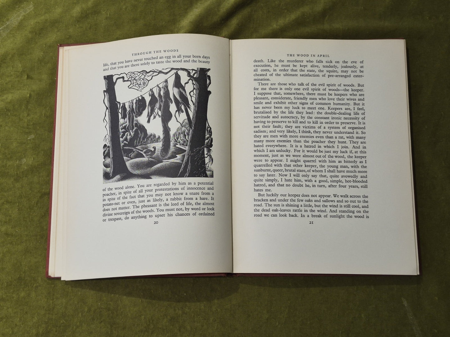 Through the Woods the English Woodland - H E Bates , Gollancz 1936 1st HB8