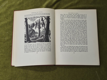 Through the Woods the English Woodland - H E Bates , Gollancz 1936 1st HB8