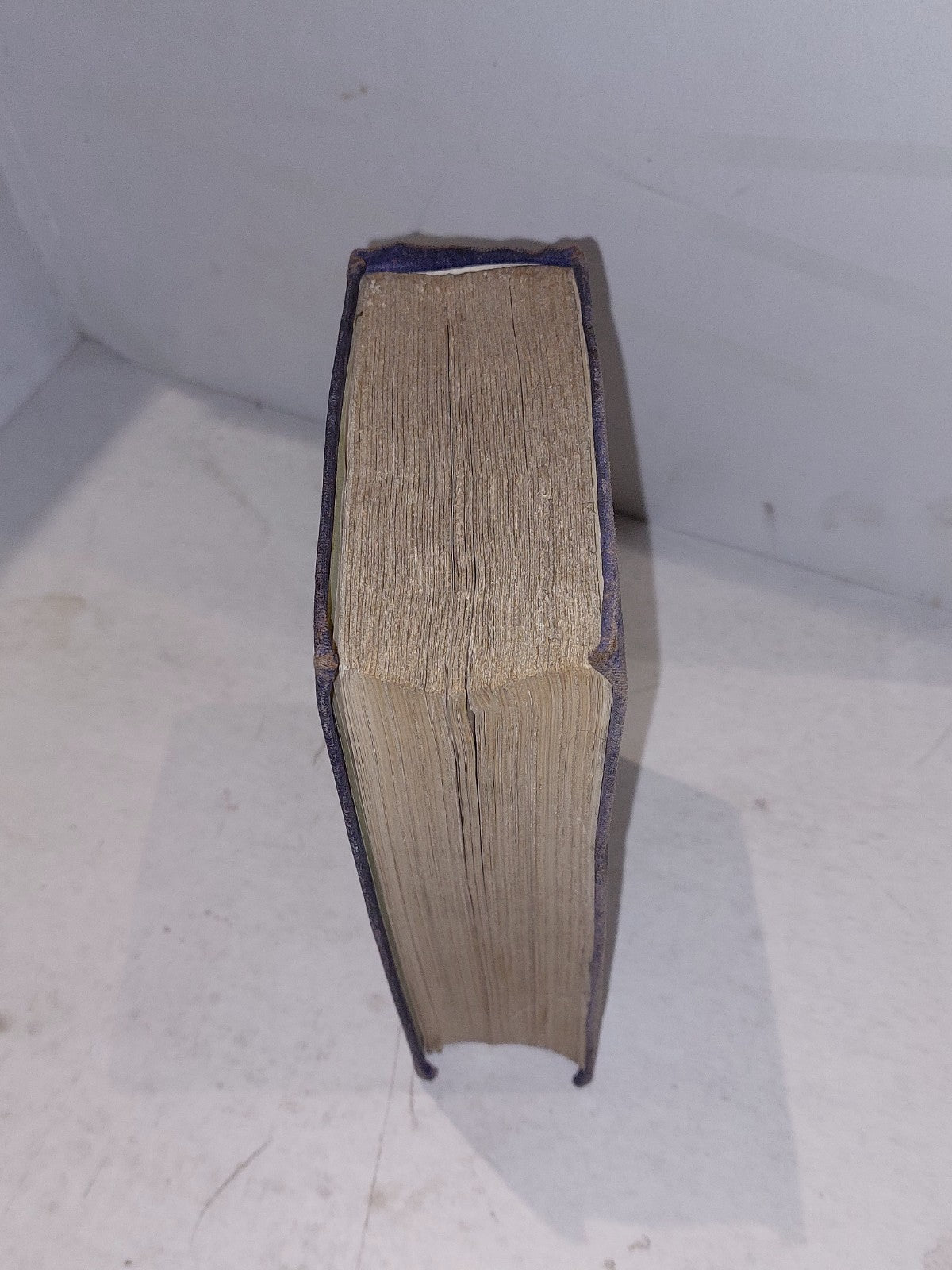 Animal Physics Book or Body & Its Functions, Medicine, (1857) Dionysius Lardner 1