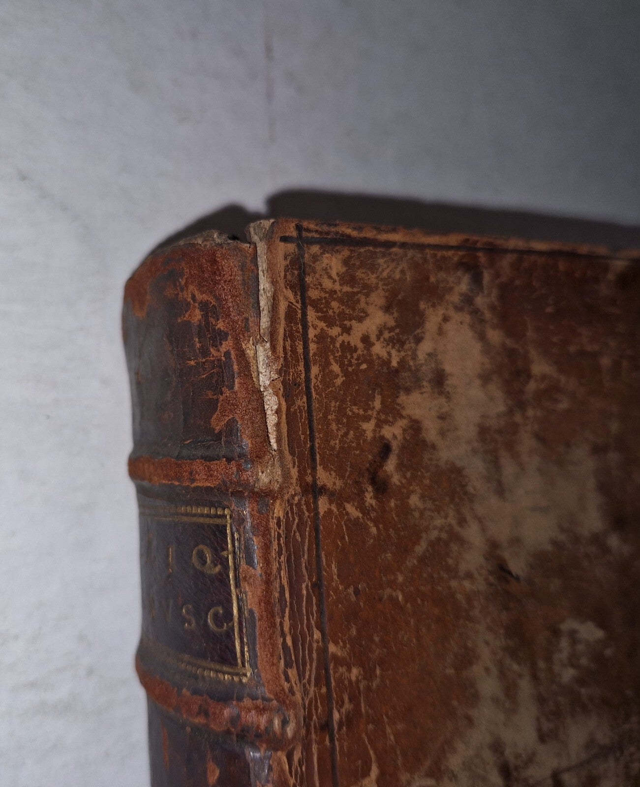 Reliquiae manuscriptorum omnis diplomatum ac monumentorum... 1720 Tomi III Vol 35