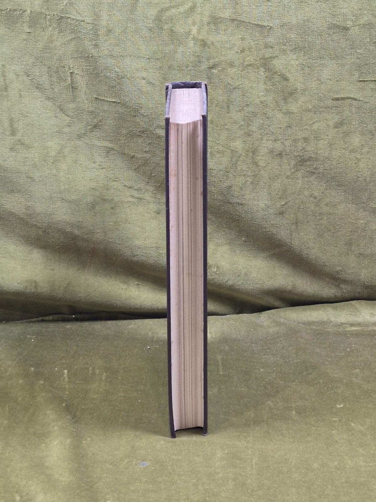 A Manual of The Coniferae by James Veitch & Sons 1881 HC / Antique7